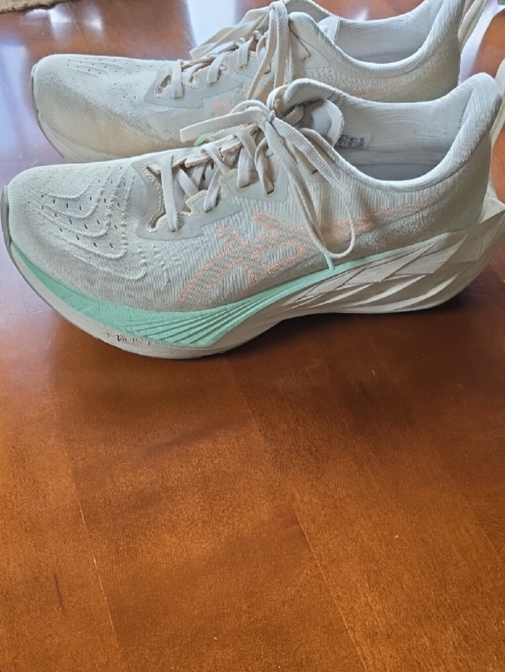 Asics Novablast/Fitblast + Women's   10 Running Shoes - Like New - Picture 2 of 8